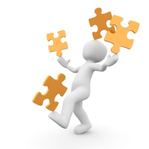 Programmadirecteur Gebiedsontwikkeling