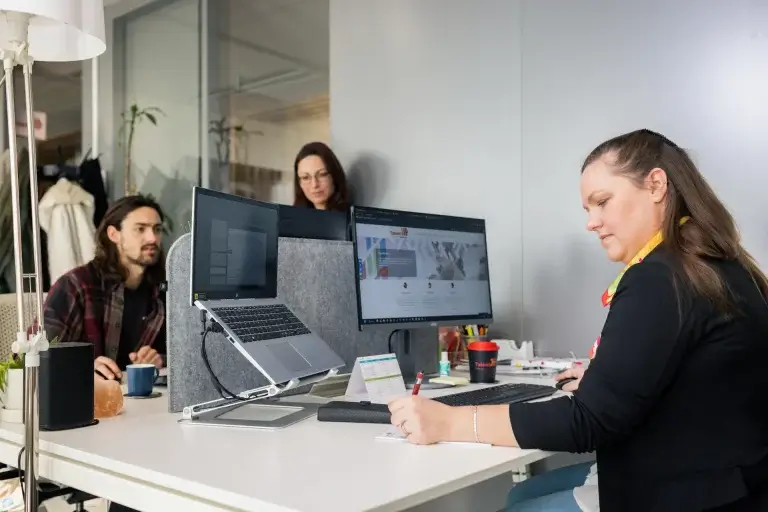 Interim professionals maatwerk